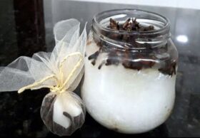 Elimine moscas da sua cozinha com essas dicas eficazes