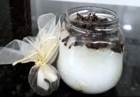 Elimine moscas da sua cozinha com essas dicas eficazes