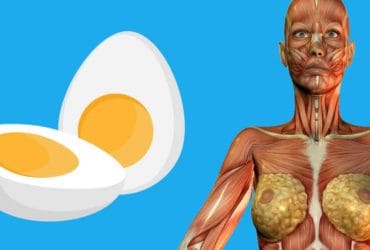 beneficios-do-ovo-na-sua-saude