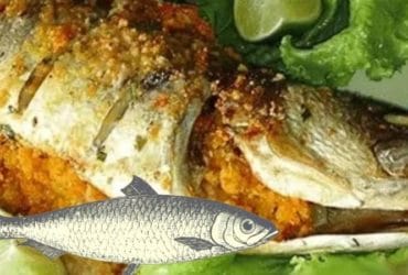 Receita de Peixe Assado com Farofa: Receita Deliciosa e Perfeita!