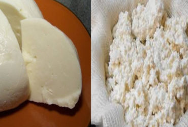 Receita de Preparo de um delicioso queijo com apenas 3 ingredientes