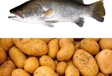Receita de Peixe ao forno com batatas: opção deliciosa para jantar