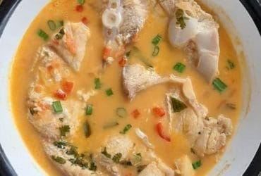 Receita de Cação ao molho cremoso de leite de coco - Receita deliciosa!