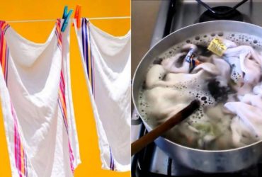 Receita de Dica infalível para deixar seu pano de cozinha branquinho