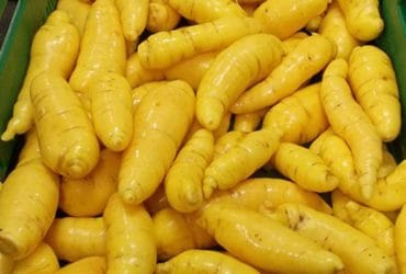 Receita de Nhoque de batata baroa recheado com provolone: cremoso e fofinho!