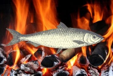 Receita de Peixe grelhado à grega: sofisticado e delicioso!