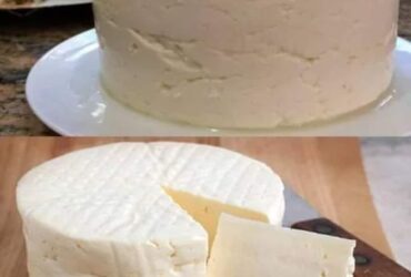 Receita de Queijo caseiro cremoso: receita fácil e deliciosa!