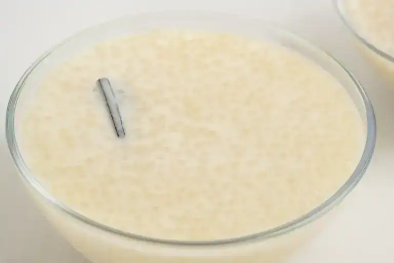 Tigela de vidro com sagu de leite cremoso, sobremesa caseira feita com leite, sagu, leite condensado e canela.