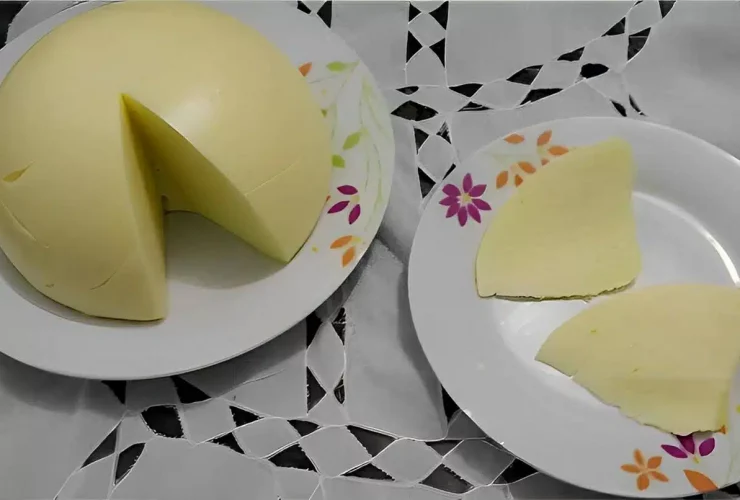queijo manteiga caseiro gastando pouco com ingredientes de casa