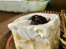 torta gelada de abacaxi com ameixas