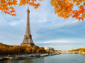 sabor da frança conheça os pratos típicos da gastronomia francesa