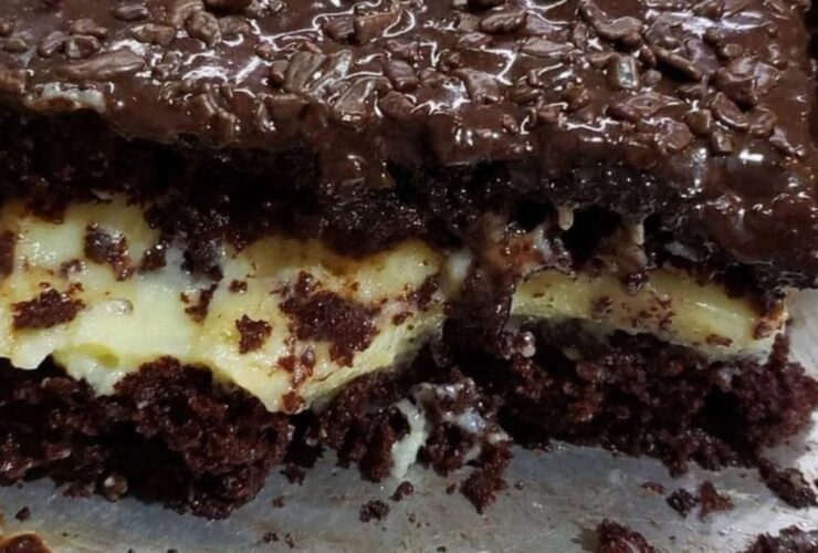 bolo de chocolate com recheio de ninho