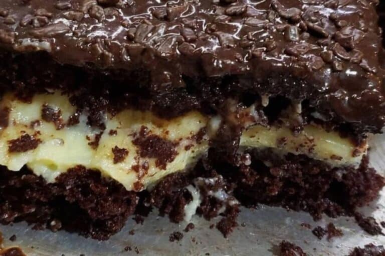 bolo de chocolate com recheio de ninho