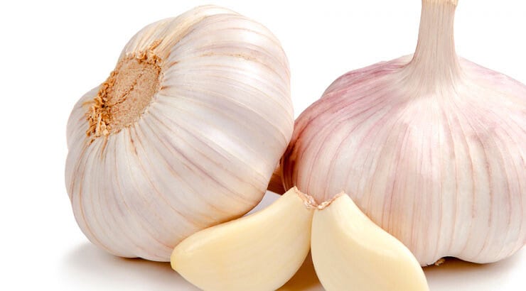 consumir alho todos os dias