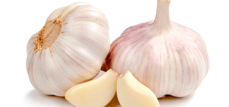 consumir alho todos os dias