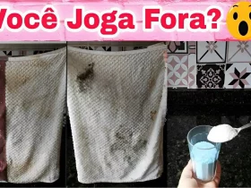 dica fantástica para limpar panos de prato sujos e mofados