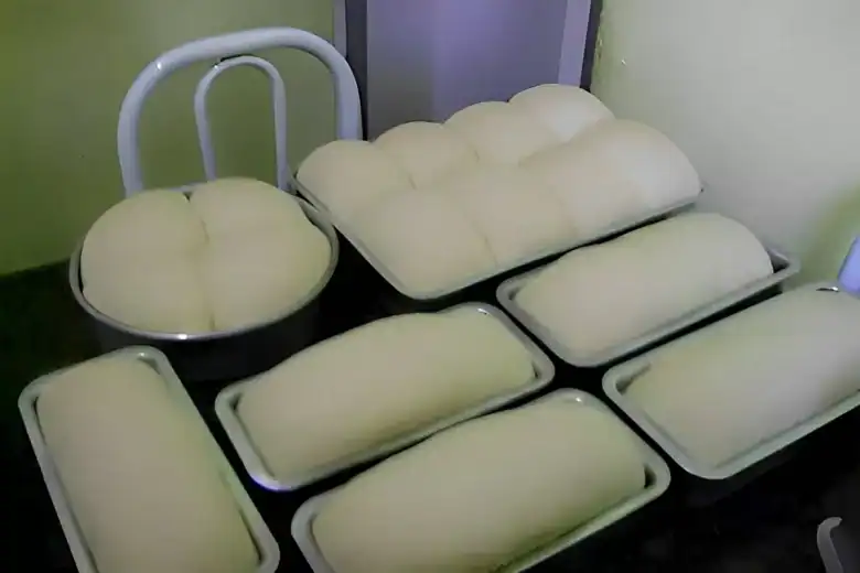 pão caseiro macio e fofinho até quem nunca fez pão conseguirá