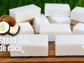 sabão de coco caseiro