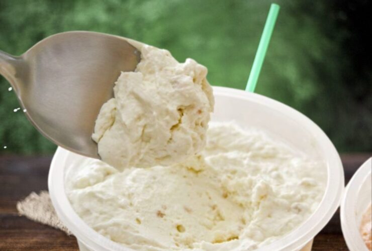 como fazer coalhada seca