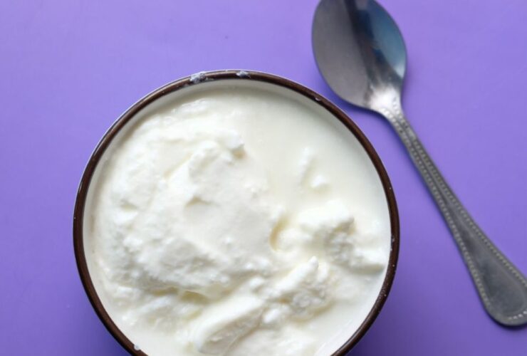 como fazer creme de leite fresco