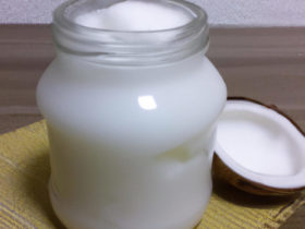 iogurte de coco caseiro uma delícia 100% natural
