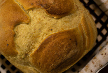 pão de cebola de liquidificador sem farinha de trigo