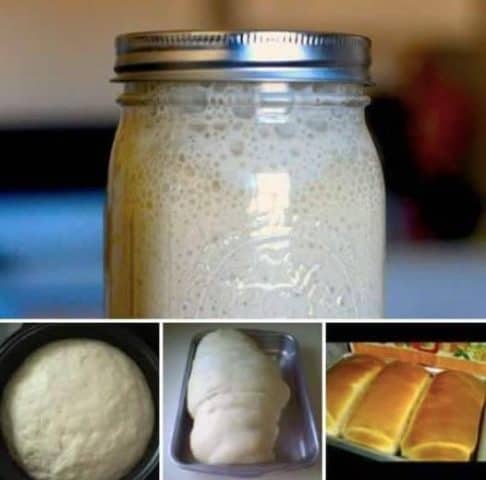 Fermento Caseiro para Pão de Cristo: Receita Cremosa e Fofinha
