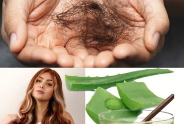 receitas caseiras de hidratação para o cabelo com babosa