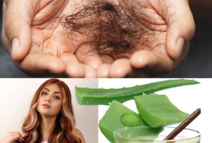 receitas caseiras de hidratação para o cabelo com babosa