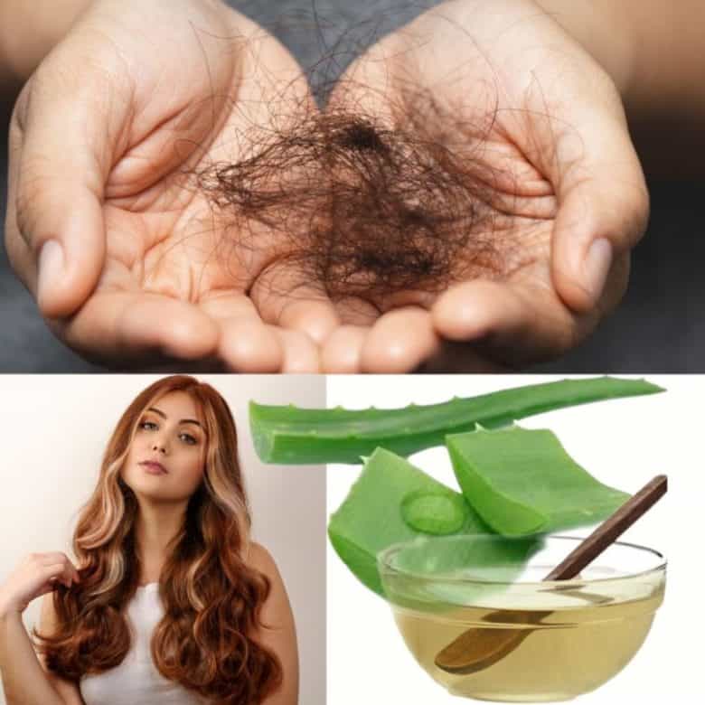 receitas caseiras de hidratação para o cabelo com babosa