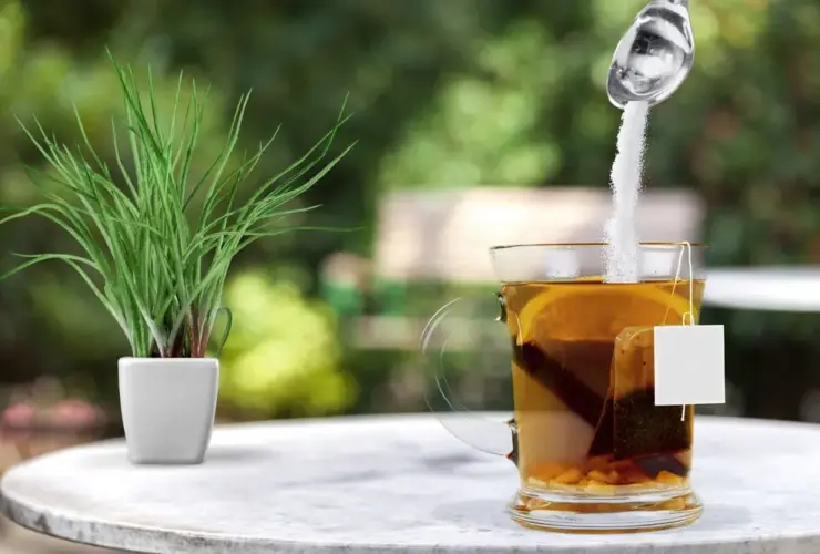 chá de erva doce com bicarbonato