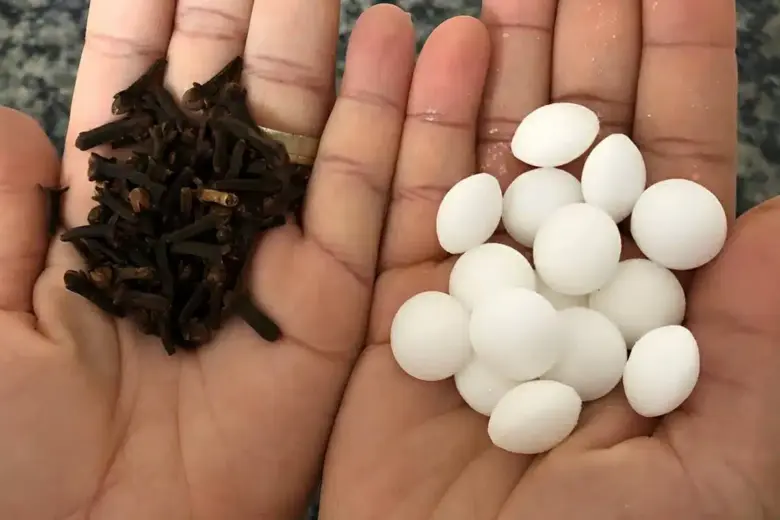 como acabar com as baratas