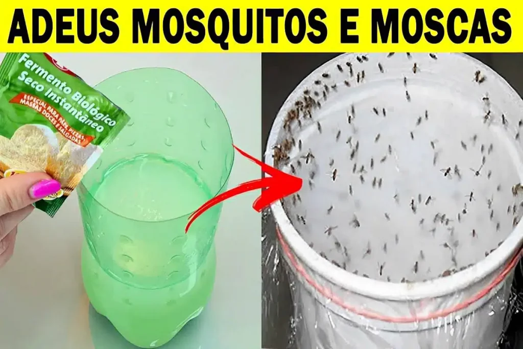 Aprenda a fazer uma solução de 3 ingredientes para acabar com moscas e mosquitos de forma eficaz