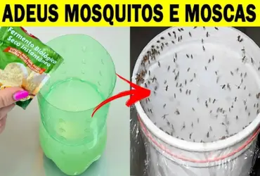 como acabar com moscas e mosquitos