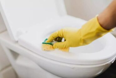 esta é a melhor maneira de limpar o vaso sanitário e pouca pessoas conhece