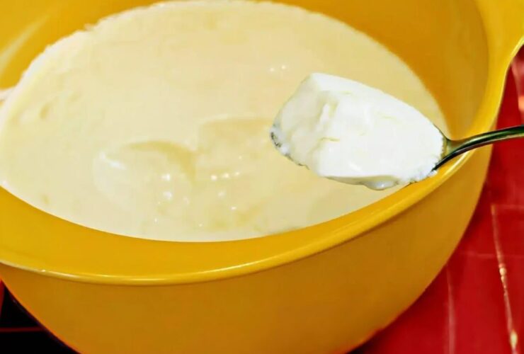 iogurte natural com 2 ingredientes sem corantes e conservantes