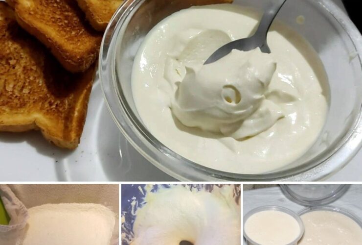 requeijão caseiro fácil e delicioso