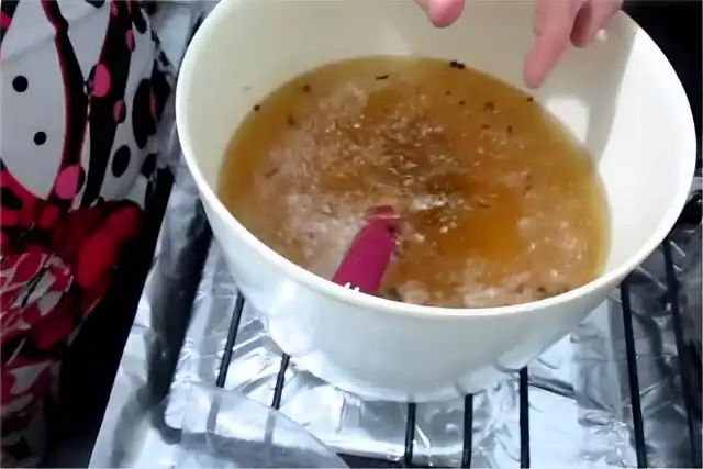 Se você encontrar esse bicho em sua casa, aqui está o que você precisa saber 2 Acabe com pulgas e carrapatos em cães e gatos: dicas eficazes.