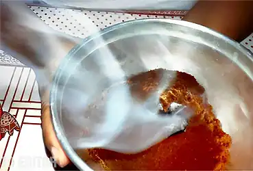 como dar um fim aos pernilongos e mosquitos em casa