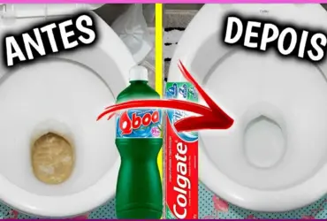 como limpar vaso sanitário – créditos canal sou mais michele