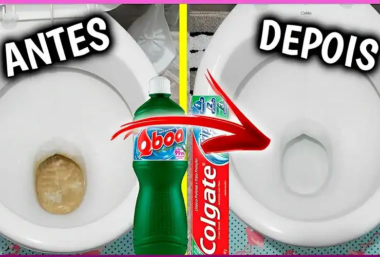 como limpar vaso sanitário – créditos canal sou mais michele