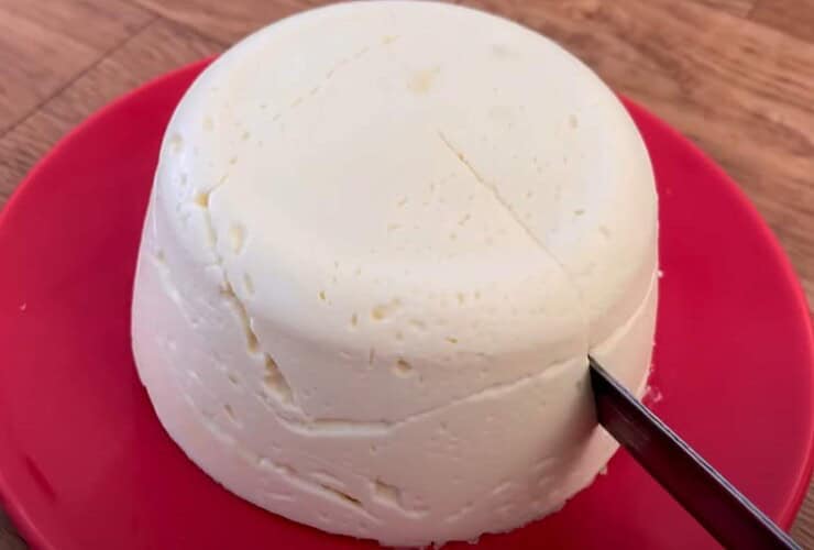 Queijo caseiro ingredientes que você tem em casa