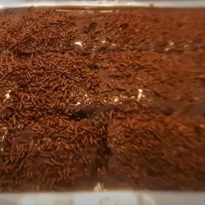 Bolo de Chocolate com Cobertura Cremosa de Leite Condensado.