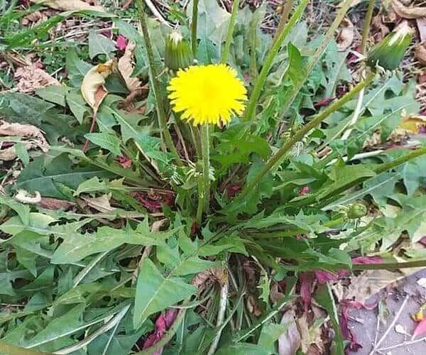 350826045 978465636926481 9213058819457057425 n