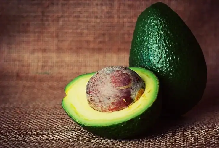 caroço de abacate