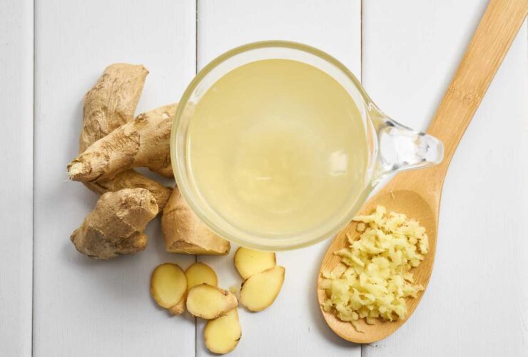 como fazer gengibirra