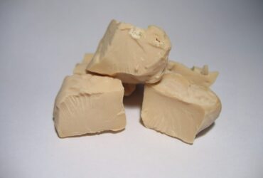 fermento de pão
