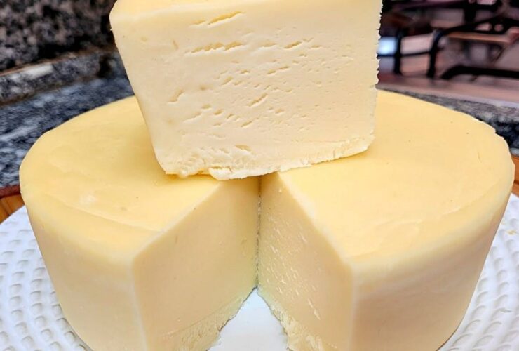 queijo caseiro com apenas 4 ingredientes