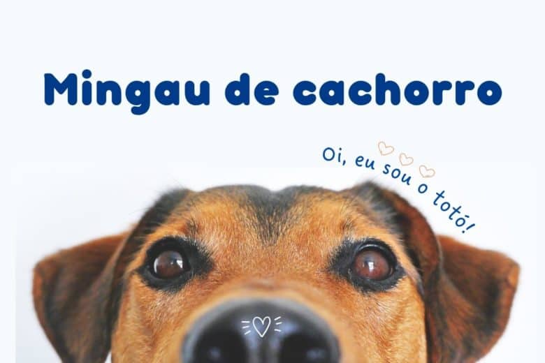 mingau de cachorro