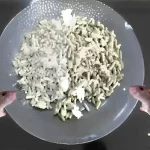 como acabar com ratos